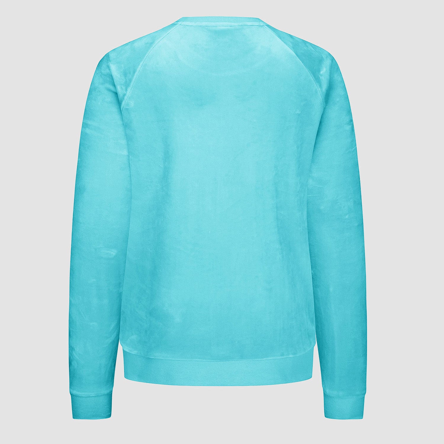Women's Sweatshirt Crewneck Pullover Casual Long Sleeve Shirts Fleece Warm Velour Sweatshirts - MAGCOMSEN